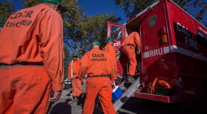 Disaster work is often carried out by prisoners – who get paid as little as 14 cents an hour despite dangers