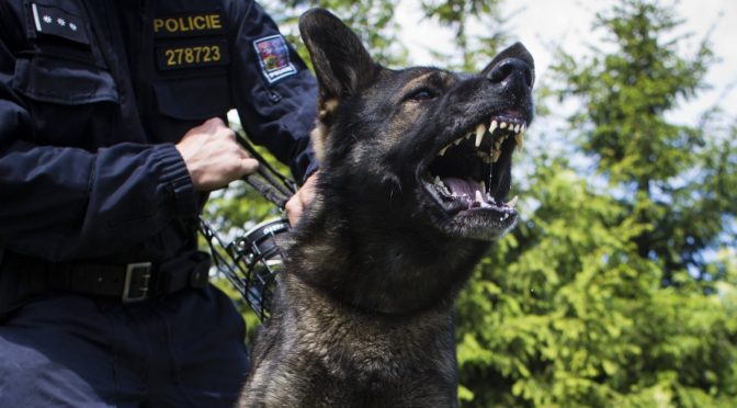 White Granite City Police Officers allow dog to maul unarmed Black Teen